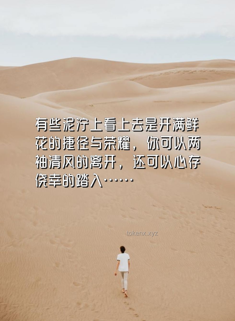 哈基米：无悔人生路上的坚持与超越